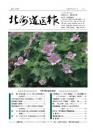 第1041号 表紙