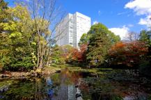 秋色の池(札幌道庁)