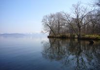 【早朝の湖面に映る木々】2006年5月5日に道東を旅行した際、カヌーで屈斜路湖から釧路川を下りましたが、その際カヌー上から湖上の風景を撮影しました。朝6時半でしたが、日はすっかり昇り、青い空と透明な湖水が爽快でした。