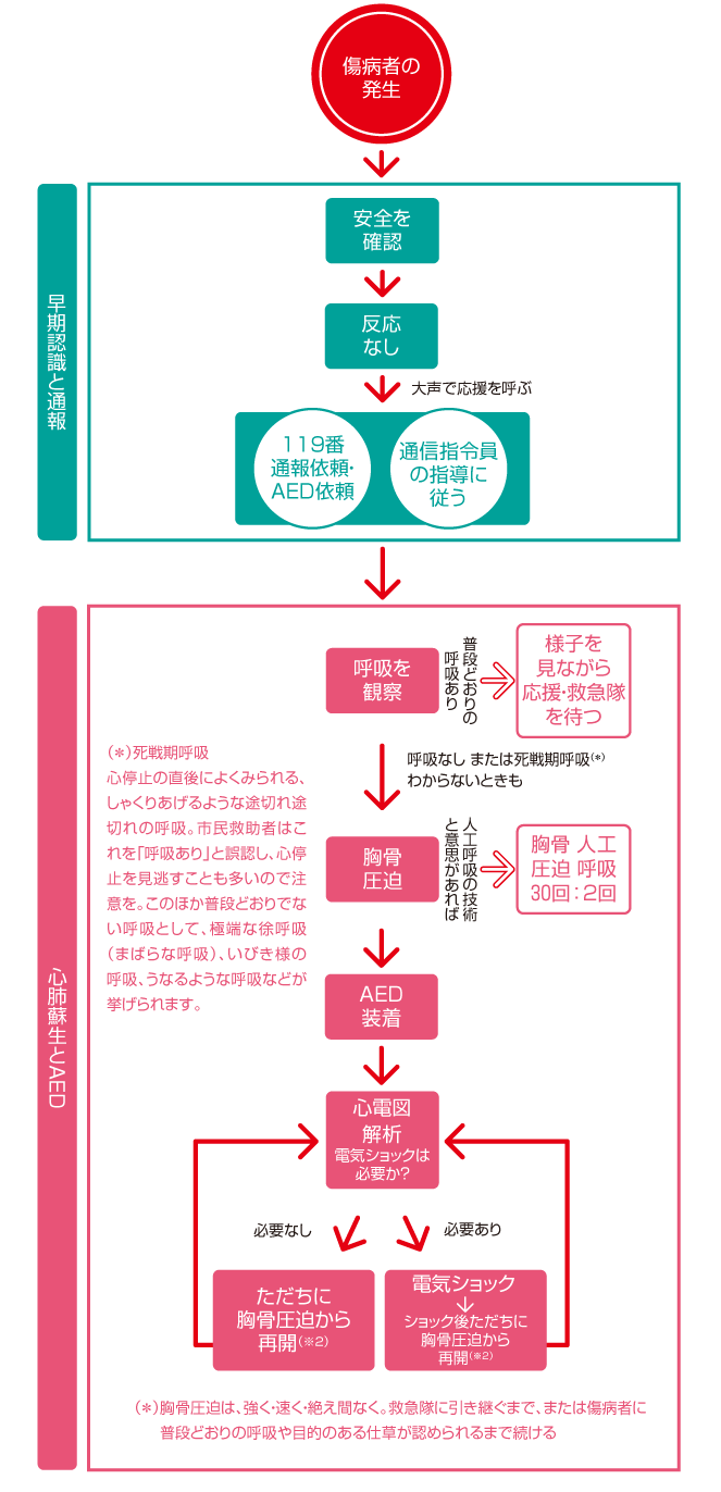 心肺 蘇生 法 ガイドライン 2020