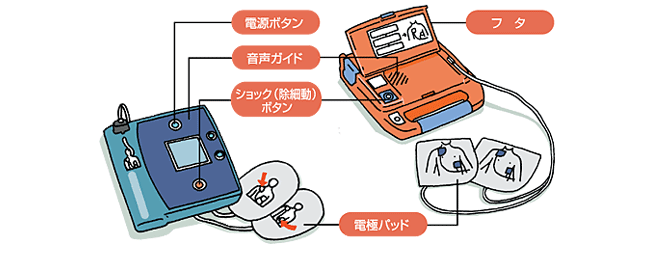 応急手当web 救急蘇生法 手順 到着次第すぐに Aedの構造